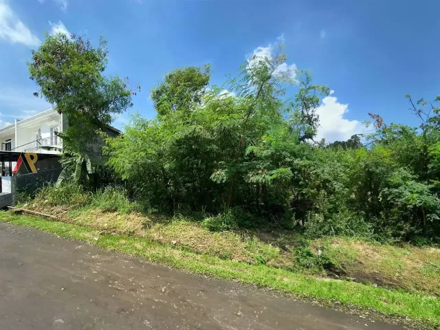 Beji, Depok, Jawa Barat, ,Tanah,Tanah,4017