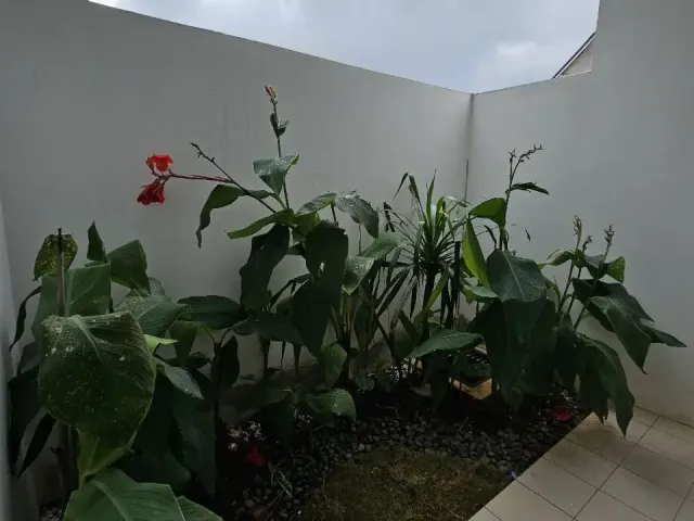 Rumah Mewah Cluster Cijantung